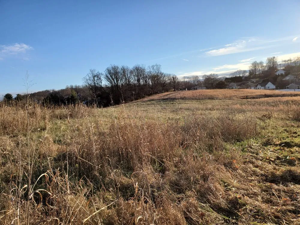 Professional lawn care service for homes across Greeneville, TN - Bucky's Lawncare landscape & Maintenance