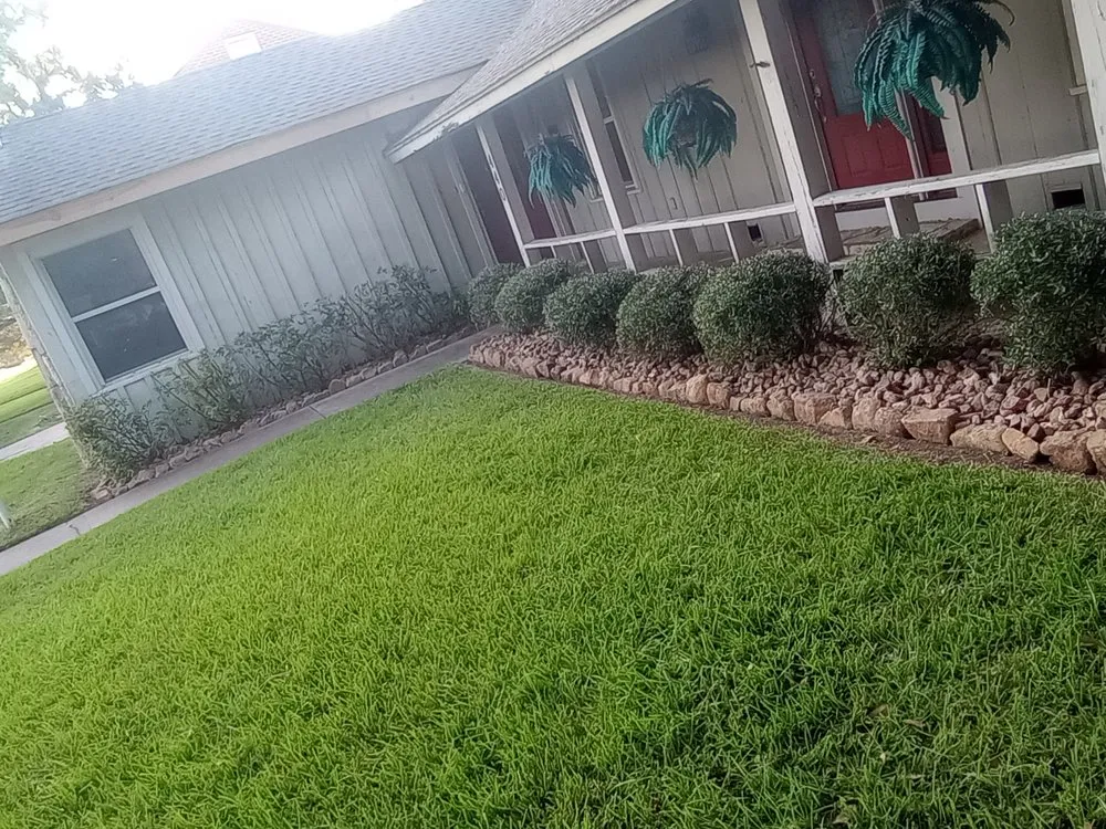 Expert yard maintenance in Vidor, TX - BUDBUILT