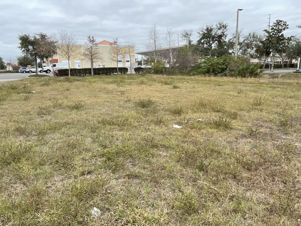 Top-rated landscape design in Tampa Bay, FL - Budd’s Lawncare