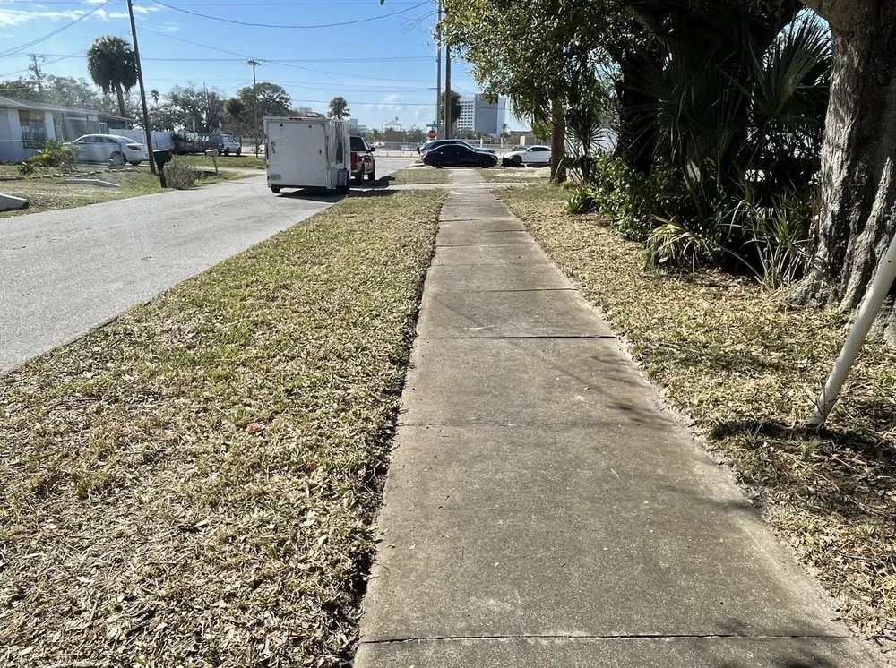 Expert yard cleanup service experts serving Tampa Bay, FL - Budd’s Lawncare