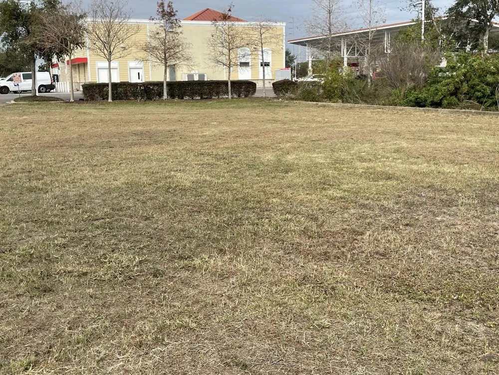 Professional landscape installation in Tampa Bay, FL - Budd’s Lawncare