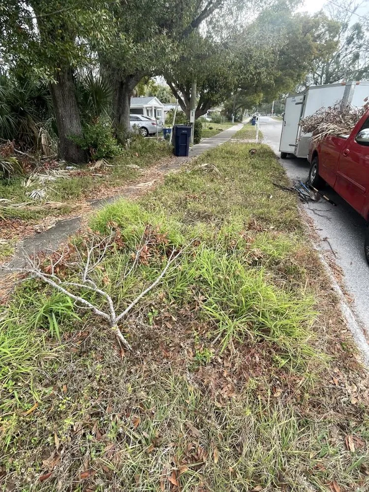 Professional landscape design experts serving Tampa Bay, FL - Budd’s Lawncare