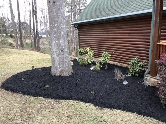 Top-rated residential landscaping in lugoff, SC by Buddy's Affordable Lawn Care