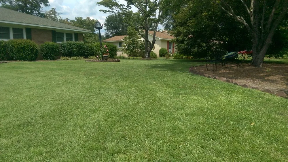 Top-rated lawn care service in lugoff, SC by Buddy's Affordable Lawn Care