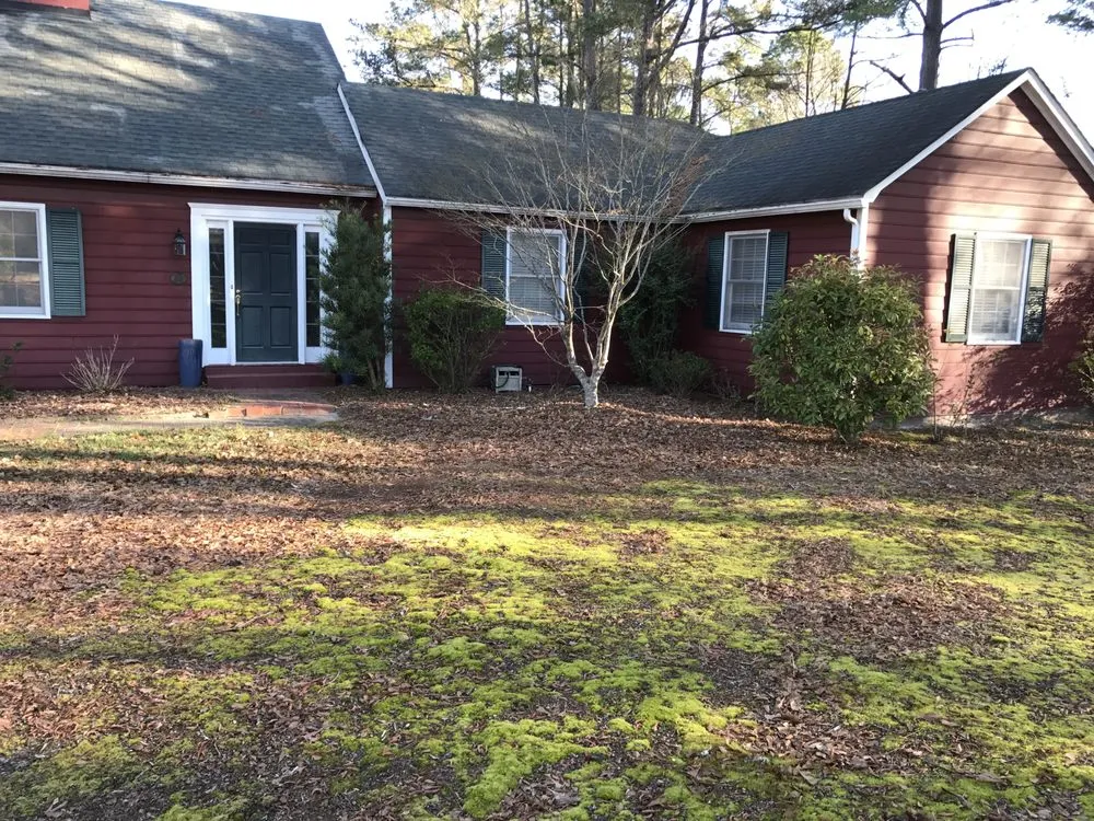 Professional lawn mowing service for beautiful yards across lugoff, SC - Buddy's Affordable Lawn Care