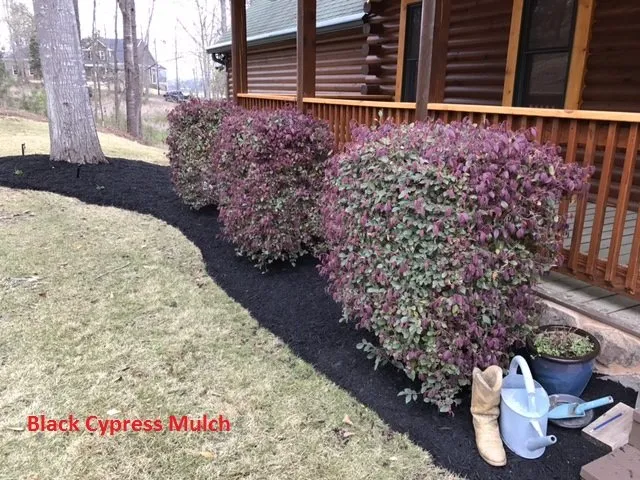 Expert yard maintenance in lugoff, SC - Buddy's Affordable Lawn Care