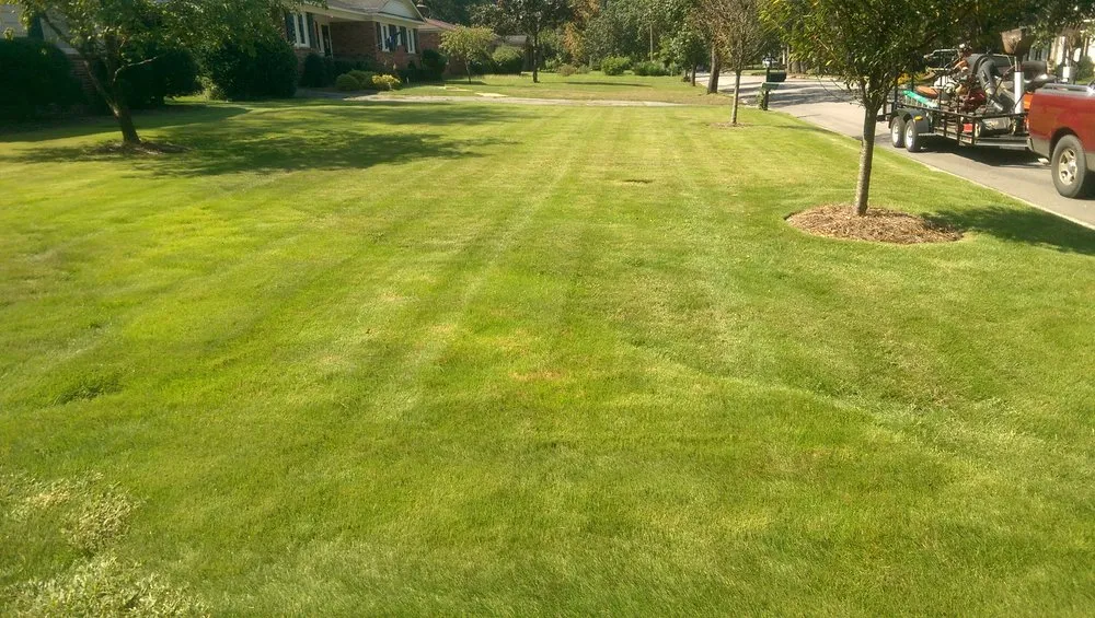 Affordable lawn care service experts serving lugoff, SC - Buddy's Affordable Lawn Care