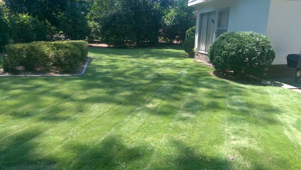 Local landscape installation for outdoor upgrades in lugoff, SC by Buddy's Affordable Lawn Care