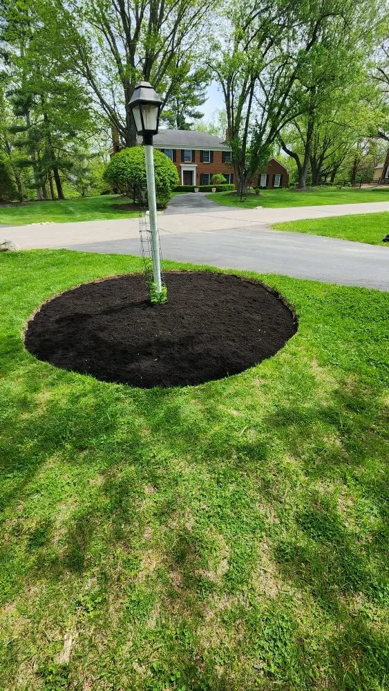 Trusted yard cleanup service in West Chester, OH by buddys landscaping