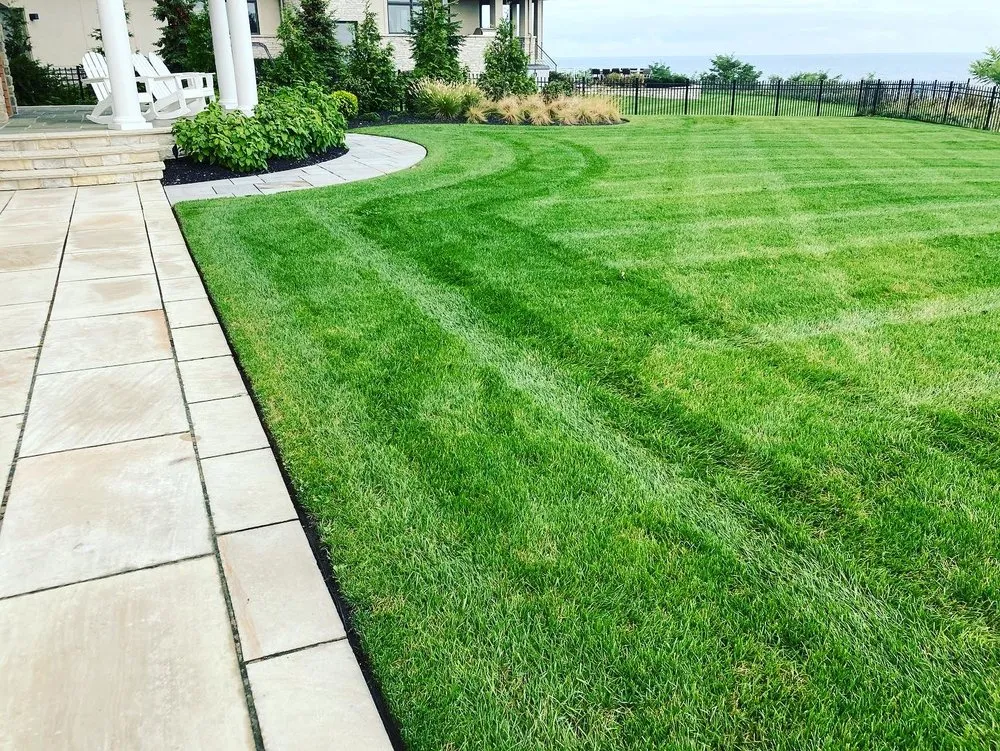 Affordable yard maintenance experts serving Youngstown, OH - Buddys Lawn Care