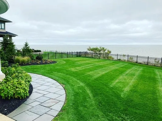 Buddys Lawn Care Logo