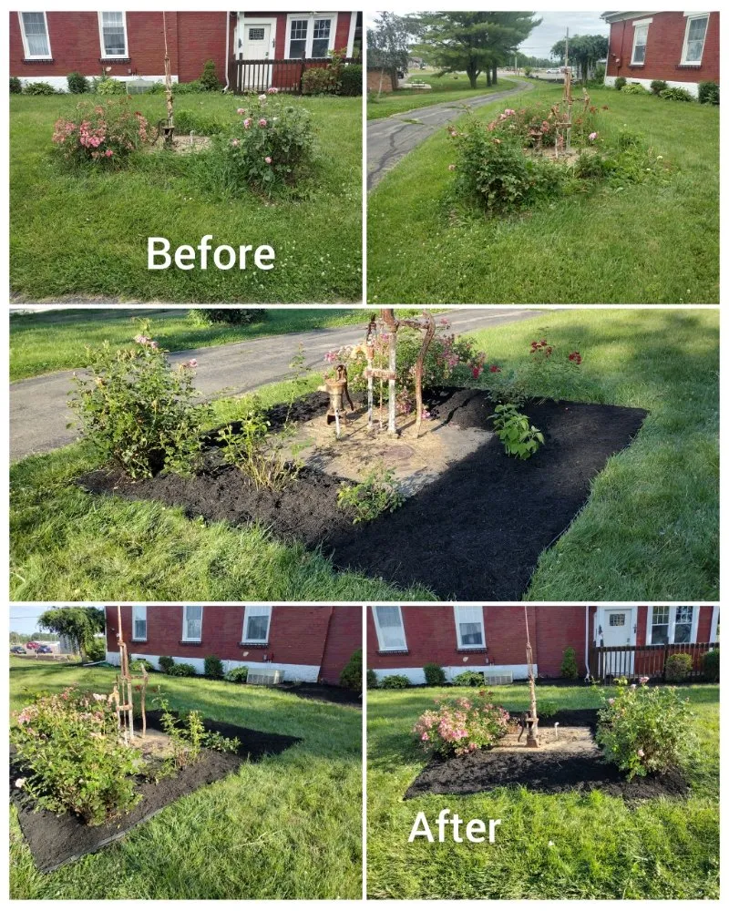 Top-rated lawn mowing service in Dayton, OH - Buddy's Lawn Plus