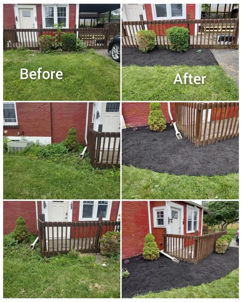 Expert lawn care service for beautiful yards across Dayton, OH - Buddy's Lawn Plus