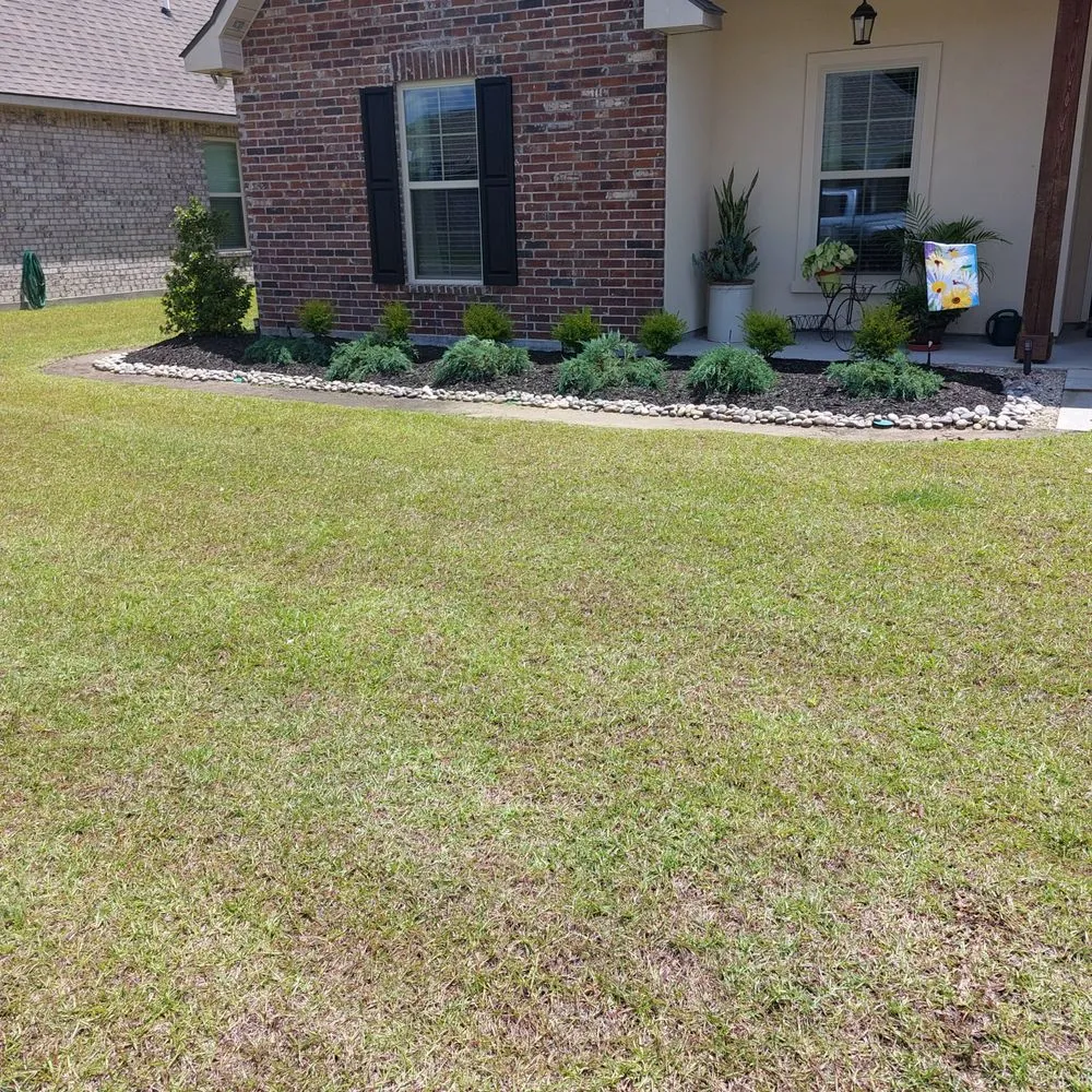 Professional yard cleanup service for beautiful yards in Walker, LA by Buddys Mow Blow & Go