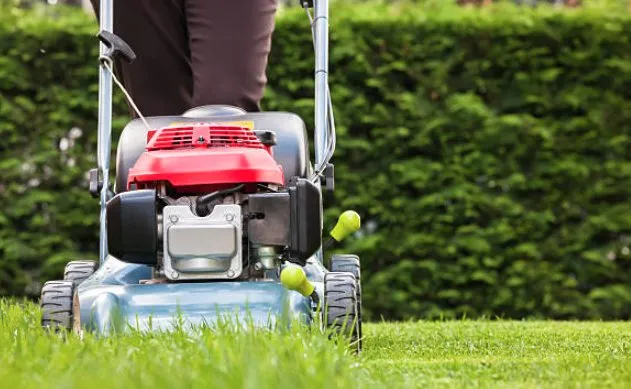 Custom garden landscaping in Walker, LA - Buddys Mow Blow & Go