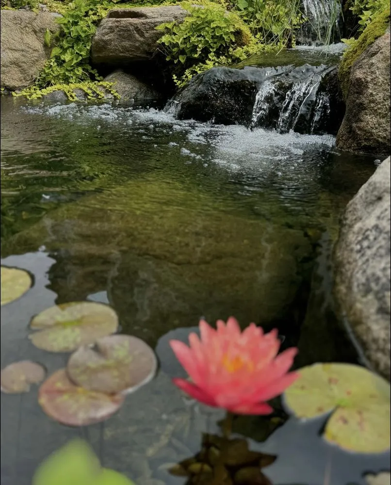 Custom lawn care service near you across Essex, CT - Buddy’s Property Services