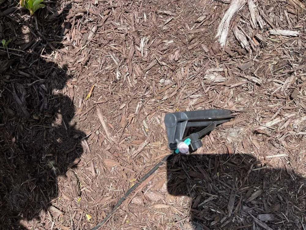 Local landscape installation for year-round maintenance across Calabash, NC - Buddy's Services