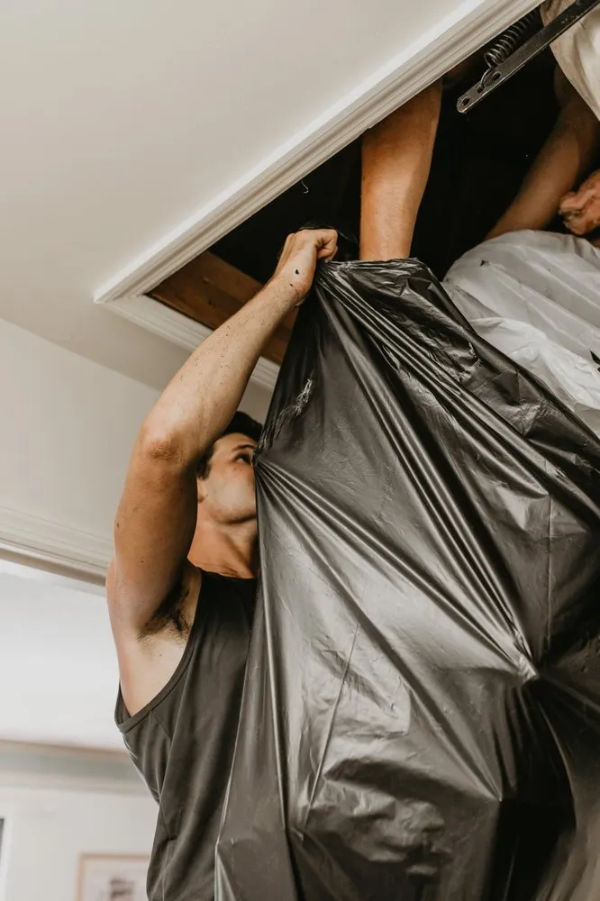 Top-rated yard maintenance for year-round maintenance in Calabash, NC by Buddy's Services