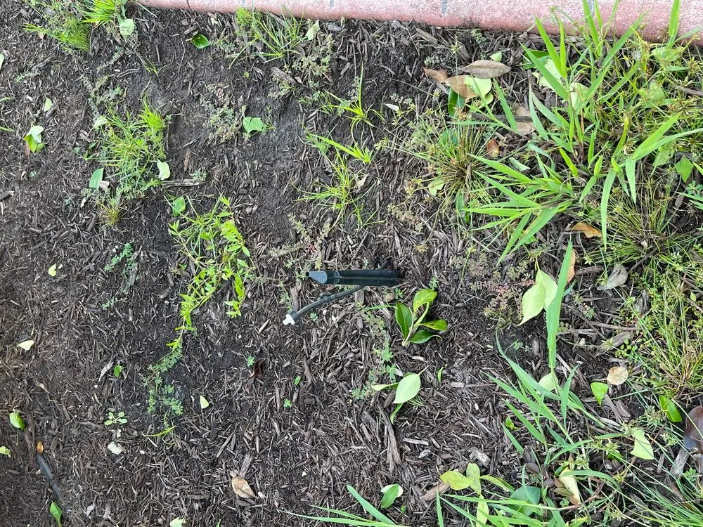 Local landscaping services for residential properties across Calabash, NC - Buddy's Services