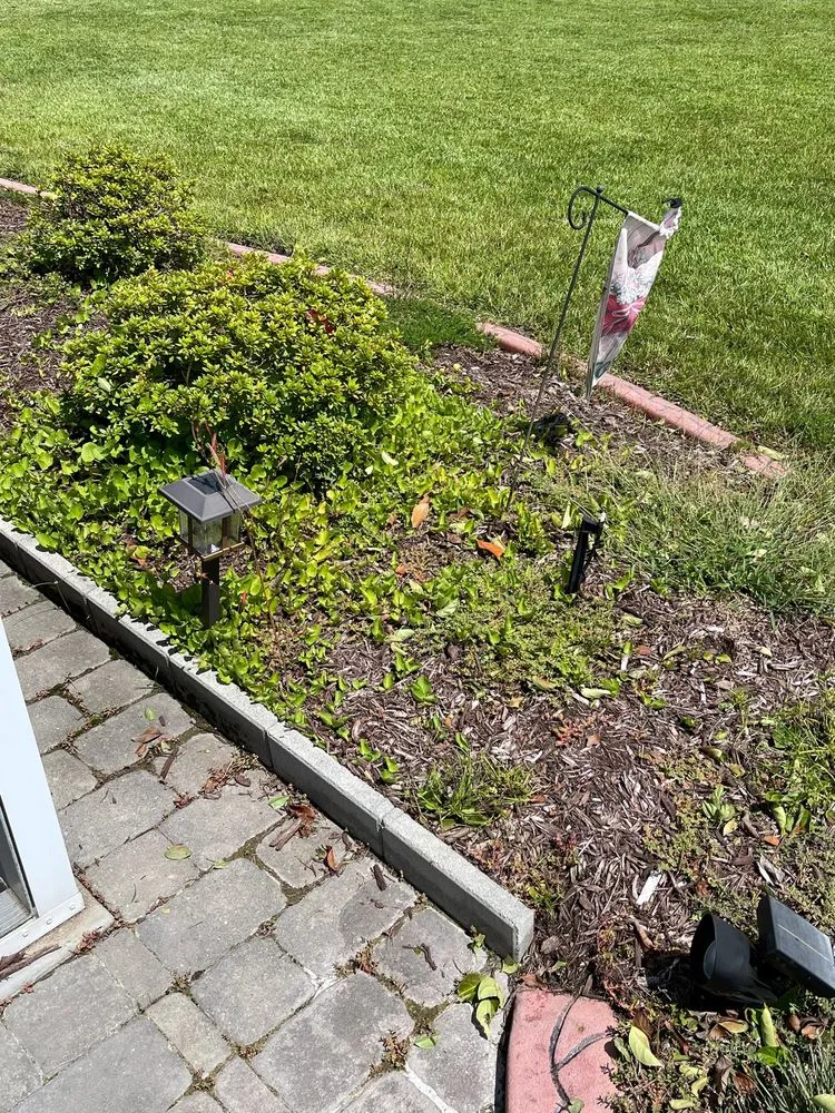 Top-rated garden landscaping experts serving Calabash, NC - Buddy's Services