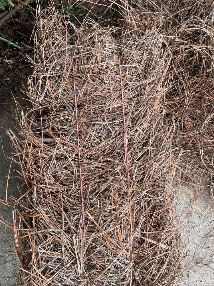 Local landscape design in Augusta, GA by Buddy’s Wholesale Pinestraw