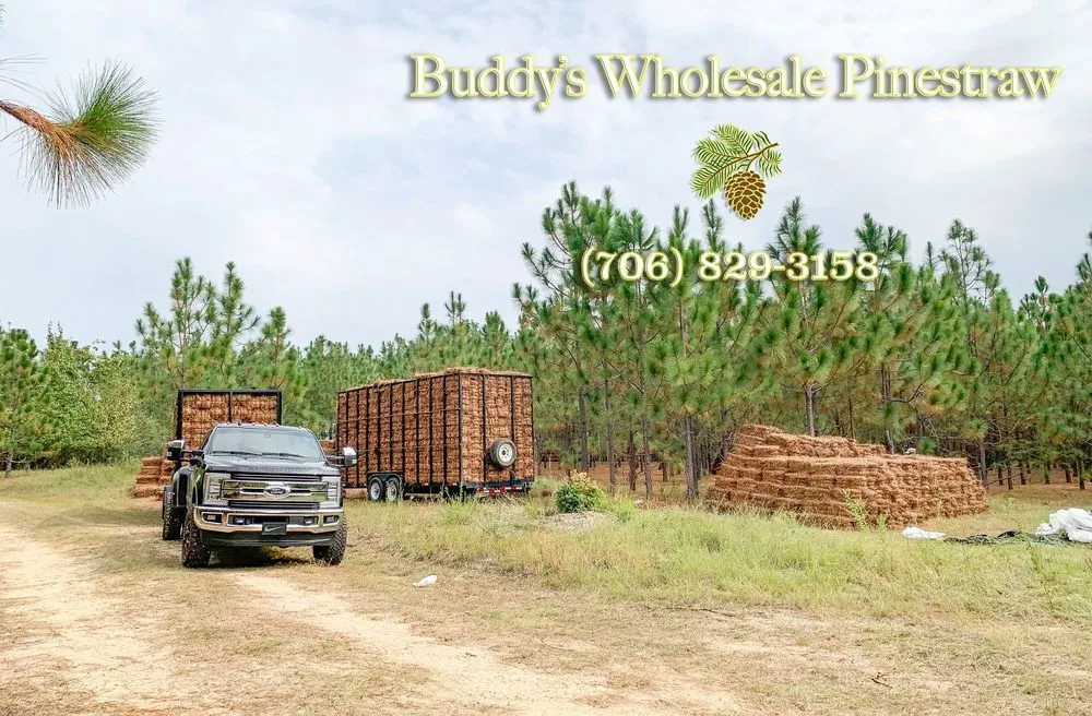 Custom yard cleanup service in Augusta, GA - Buddy’s Wholesale Pinestraw