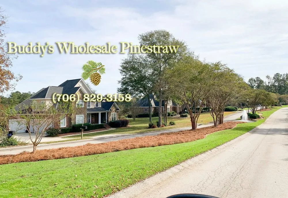 Professional landscape installation for residential properties across Augusta, GA - Buddy’s Wholesale Pinestraw