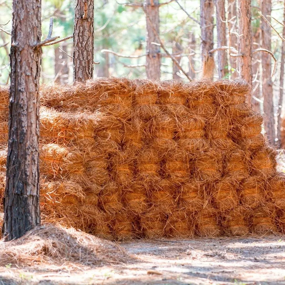 Expert lawn care service with custom design in Augusta, GA by Buddy’s Wholesale Pinestraw