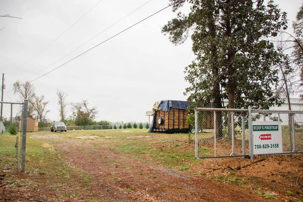 Custom yard maintenance in Augusta, GA by Buddy’s Wholesale Pinestraw