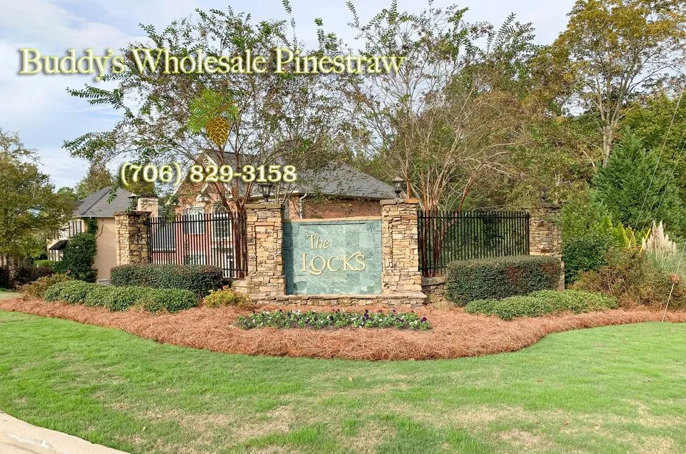 Trusted yard cleanup service in Augusta, GA - Buddy’s Wholesale Pinestraw