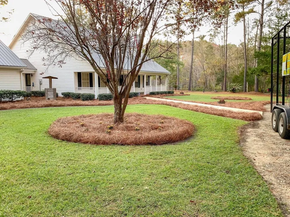 Trusted landscape design in Augusta, GA by Buddy’s Wholesale Pinestraw