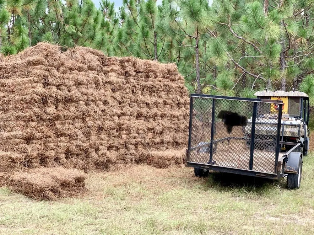 Expert lawn mowing service in Augusta, GA - Buddy’s Wholesale Pinestraw
