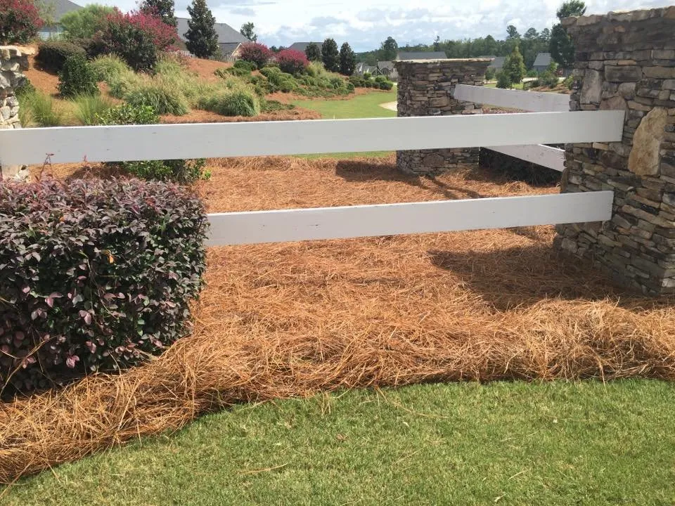 Reliable lawn mowing service for residential properties across Augusta, GA - Buddy’s Wholesale Pinestraw