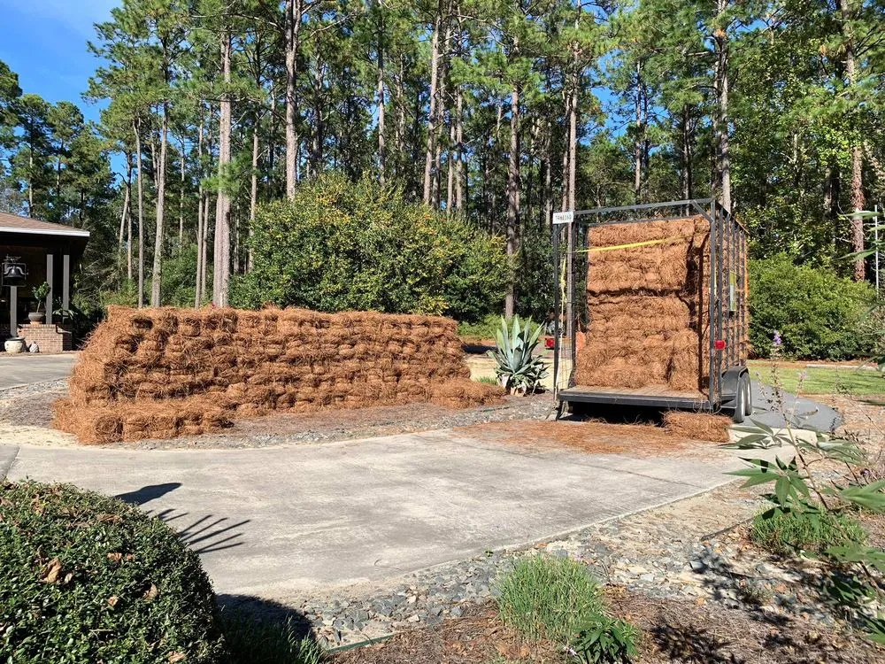 Expert landscape installation for year-round maintenance in Augusta, GA by Buddy’s Wholesale Pinestraw