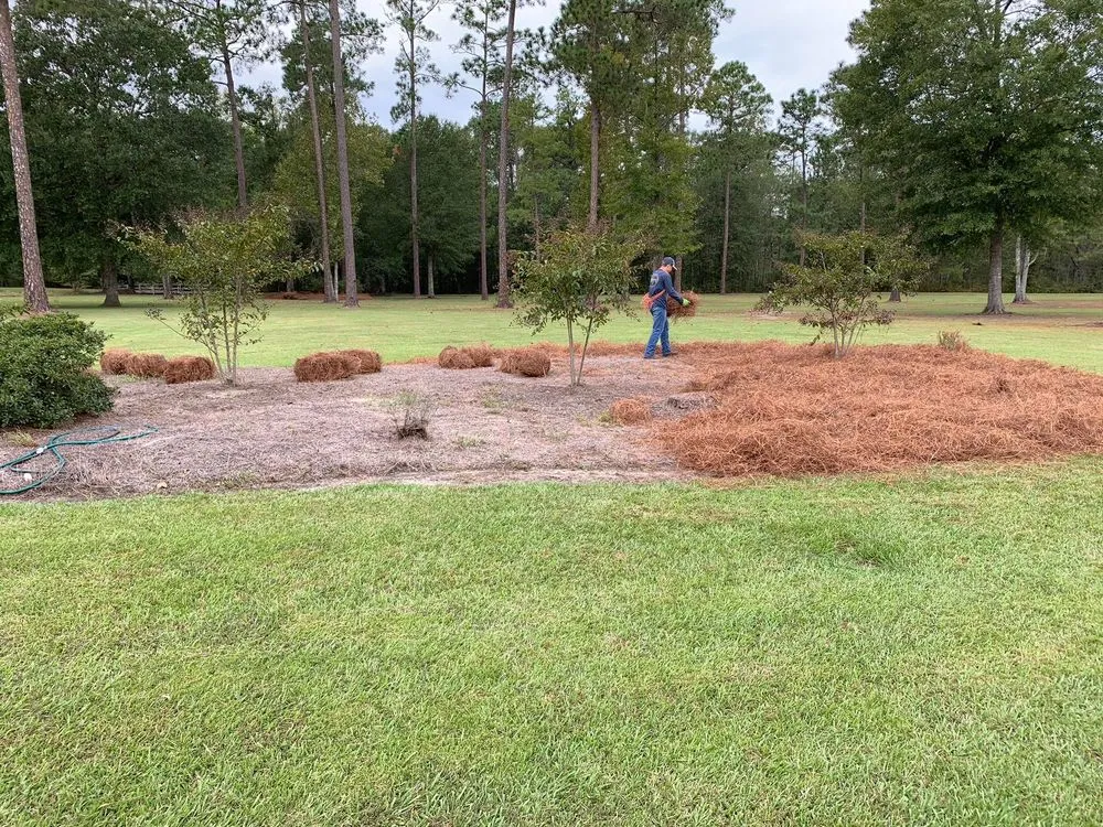 Professional garden landscaping in Augusta, GA - Buddy’s Wholesale Pinestraw