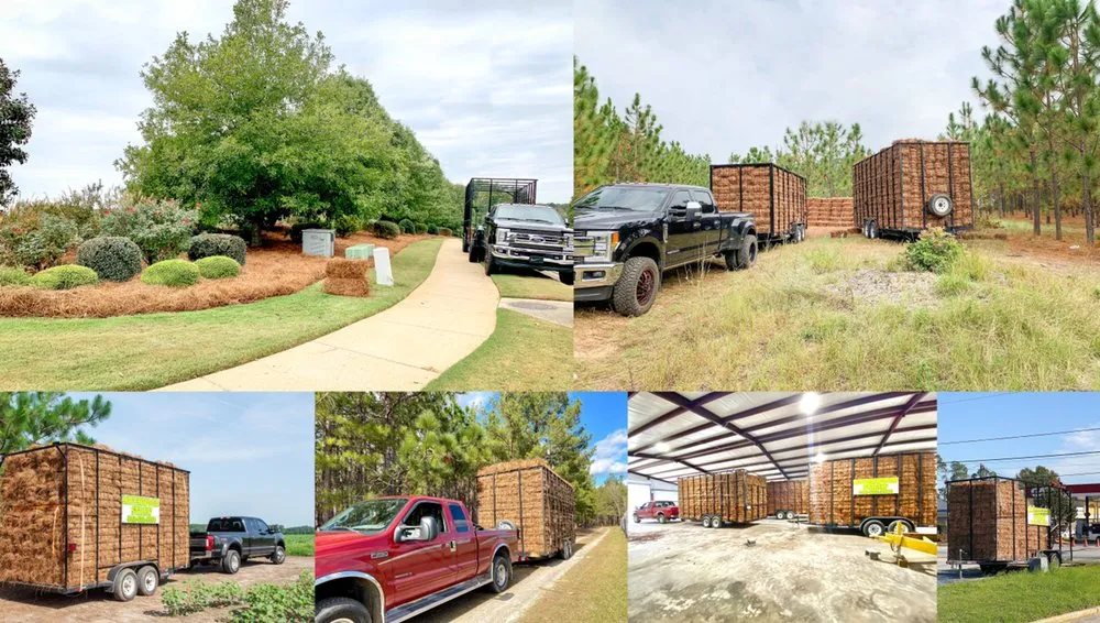 Expert lawn care service with custom design in Augusta, GA by Buddy’s Wholesale Pinestraw