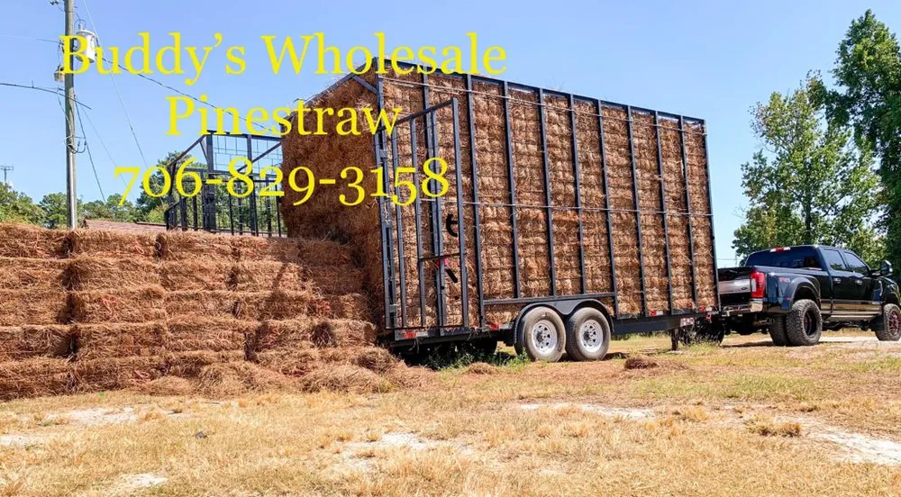 Top-rated landscaping services near you across Augusta, GA - Buddy’s Wholesale Pinestraw