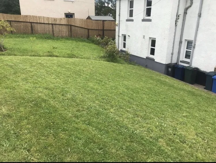 Reliable lawn care service for homes in Sauk Village, IL by Buddy’ss Landscaping