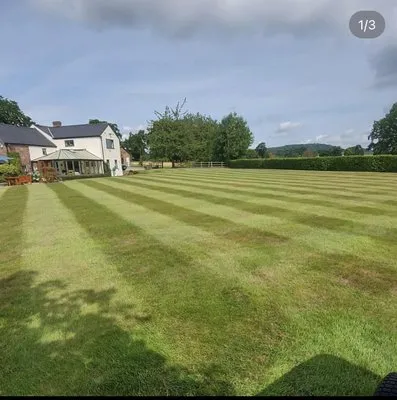 Buddy’ss Landscaping