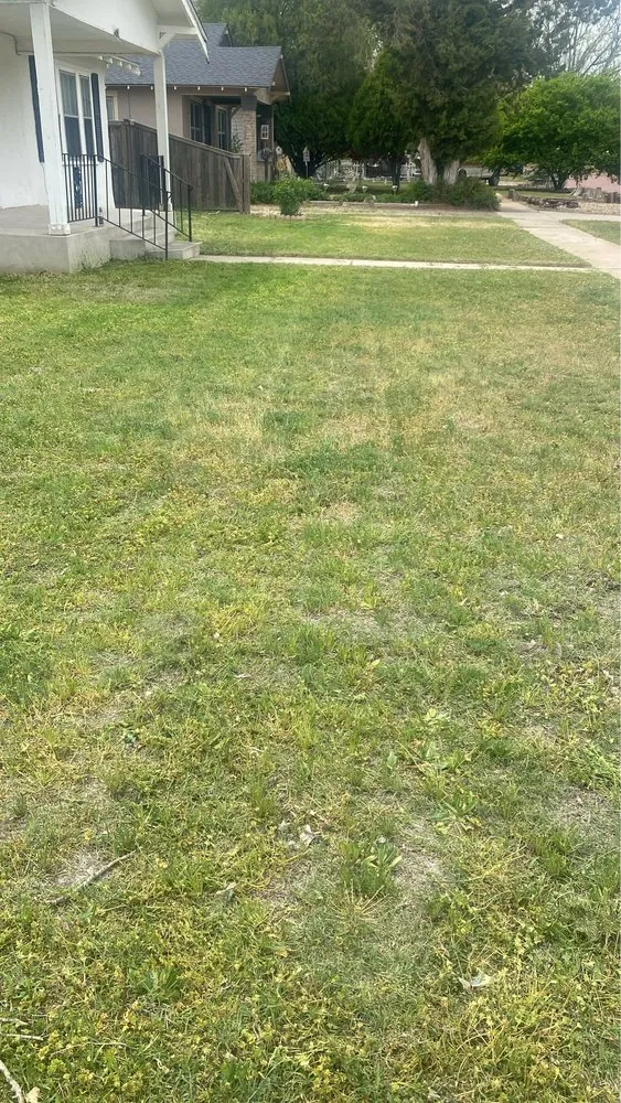 Trusted lawn mowing service for beautiful yards across Canyon, TX - Budget Blades