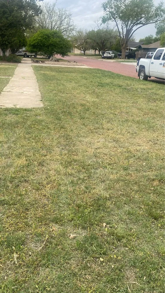 Local yard maintenance experts serving Canyon, TX - Budget Blades