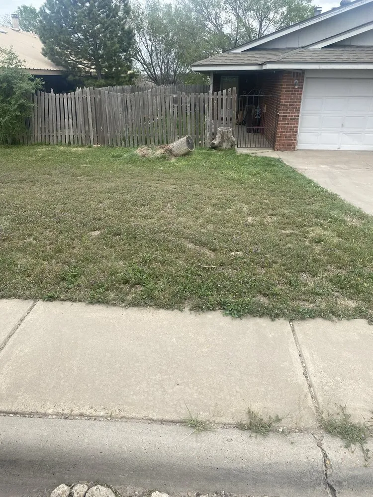 Professional lawn mowing service for outdoor upgrades in Canyon, TX by Budget Blades