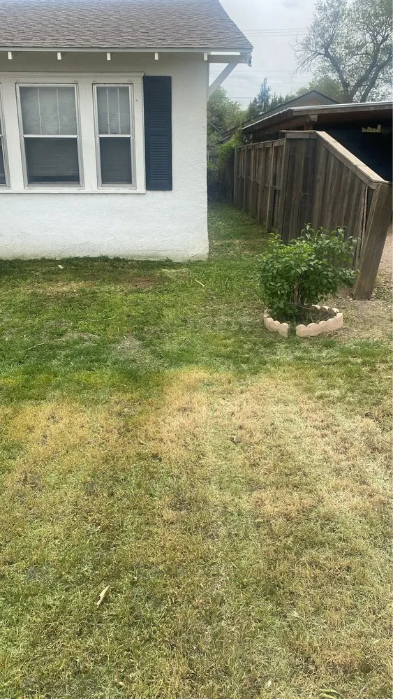 Professional yard cleanup service in Canyon, TX - Budget Blades