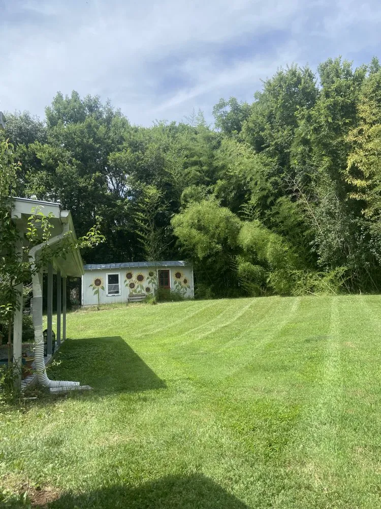 Affordable lawn mowing service with custom design in Pittsboro, NC by Budget Blades