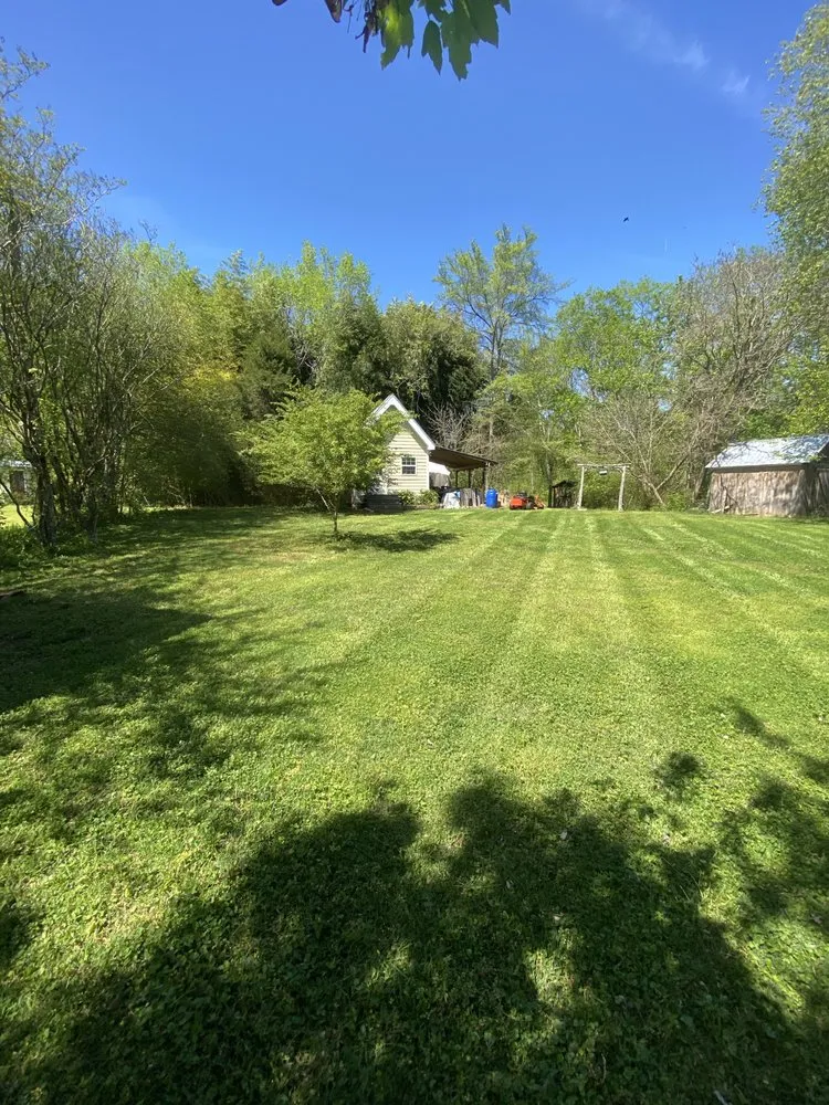 Affordable yard cleanup service in Pittsboro, NC - Budget Blades