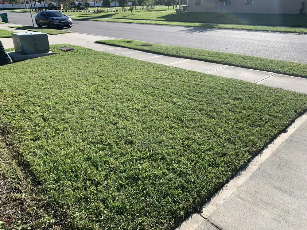 Custom outdoor landscaping in Melbourne, FL - Budget Bladez