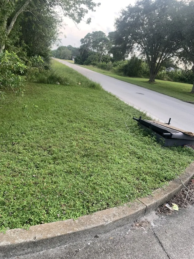 Trusted landscape installation for year-round maintenance across Melbourne, FL - Budget Bladez