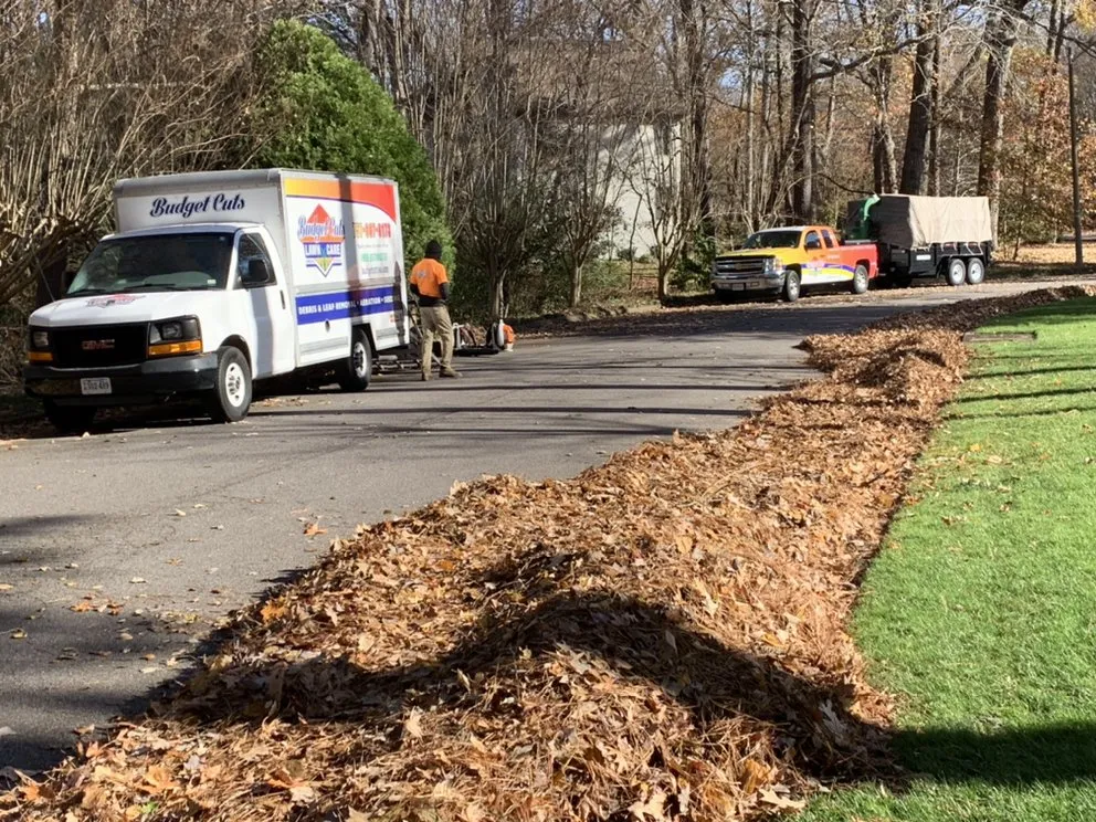 Trusted landscaping services experts serving Chesapeake, VA - Budget Cuts