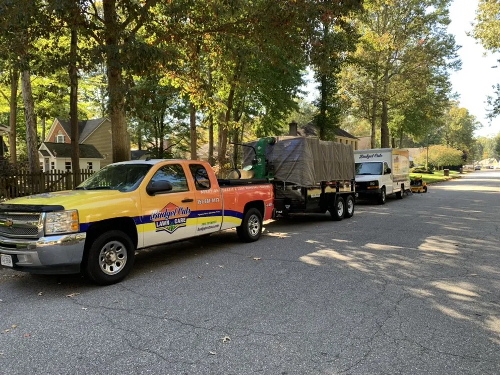 Custom landscape design experts serving Chesapeake, VA - Budget Cuts