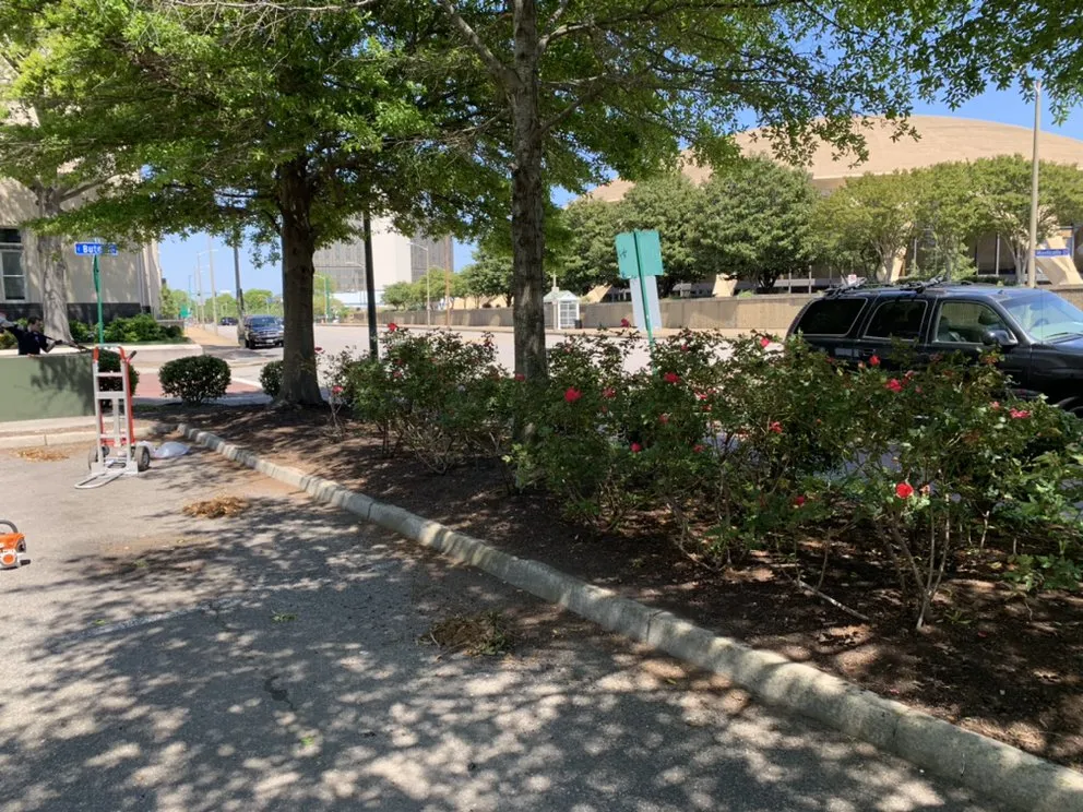 Professional yard cleanup service experts serving Chesapeake, VA - Budget Cuts